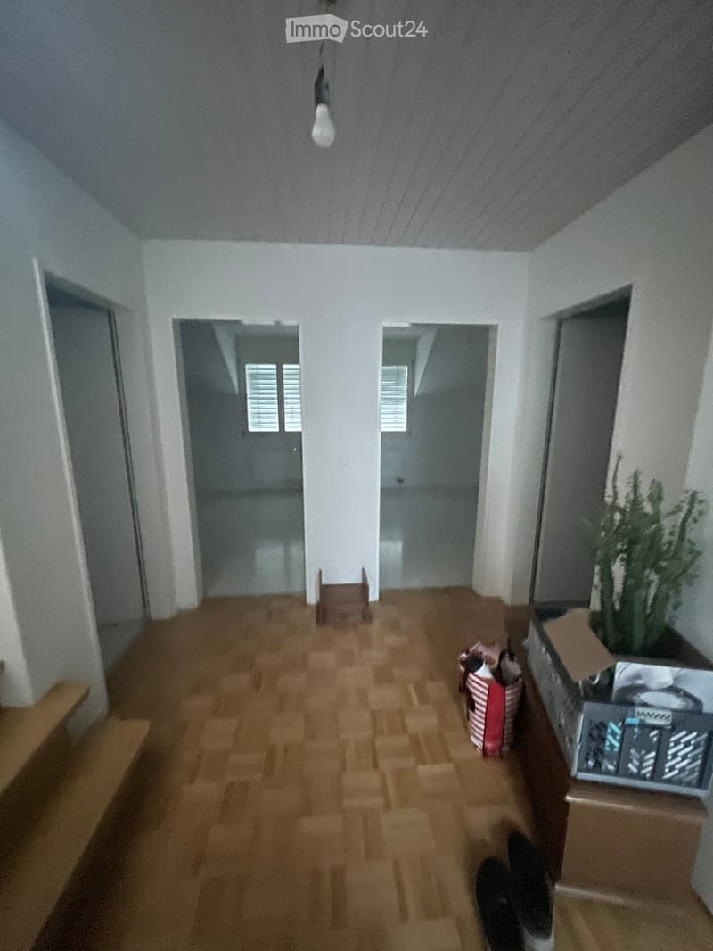 Empty hallway with wooden flooring, white walls, and several doors leading to other rooms. There are some boxes and a small plant visible.