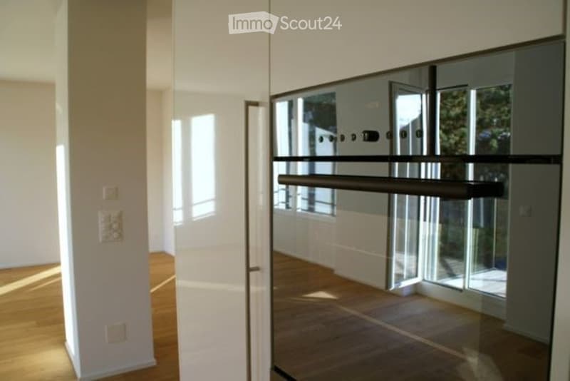 Modern hallway with light wooden flooring, white walls, and a large glass sliding door leading to an outdoor area.