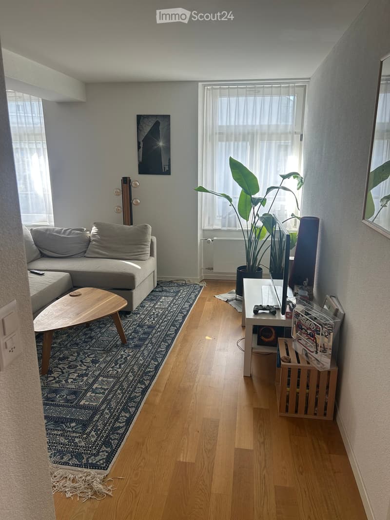 Living room with light wooden flooring, a grey sectional sofa, a wooden coffee table, a large potted plant, a TV stand with a screen, and a mirror on the wall.