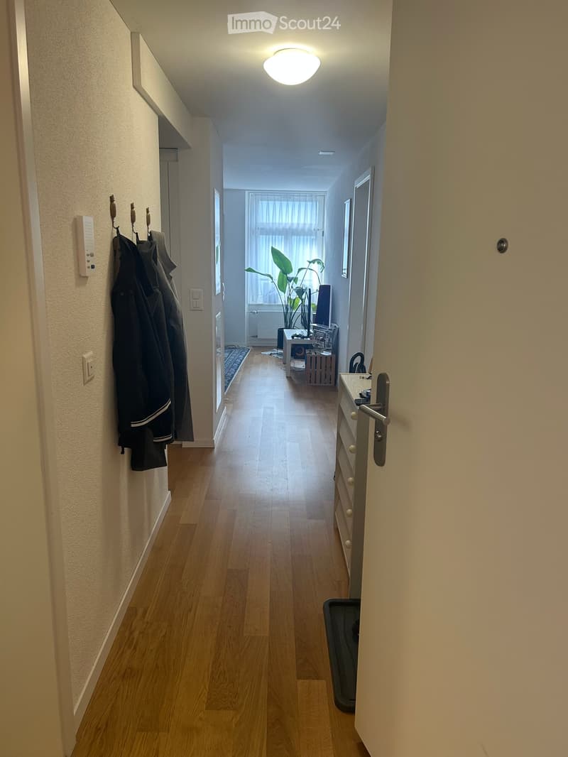 A well-lit hallway with wooden flooring, light-colored walls, and a ceiling light fixture. A coat rack with jackets is visible on the left, and a small table with a plant and other items is seen at the end of the hallway.