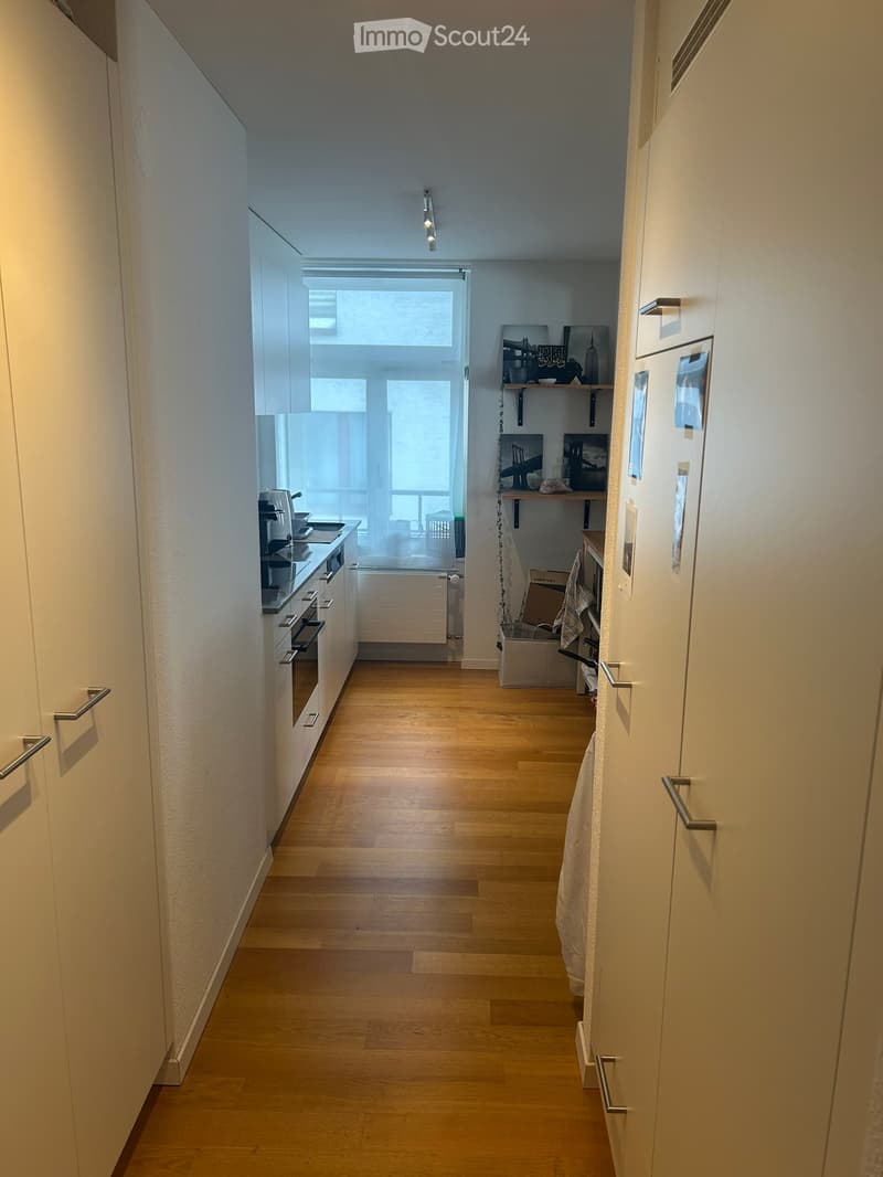 A narrow hallway with light wooden flooring, white walls, and built-in cabinets on both sides. The hallway leads to a kitchen area visible at the end, with a window providing natural light.