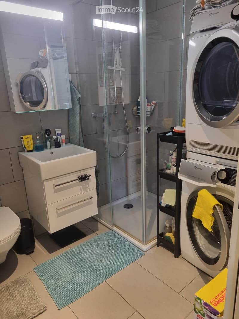 Modern bathroom with a sink, toilet, shower, and washing machine. Includes a mirror, towel, and various toiletries.