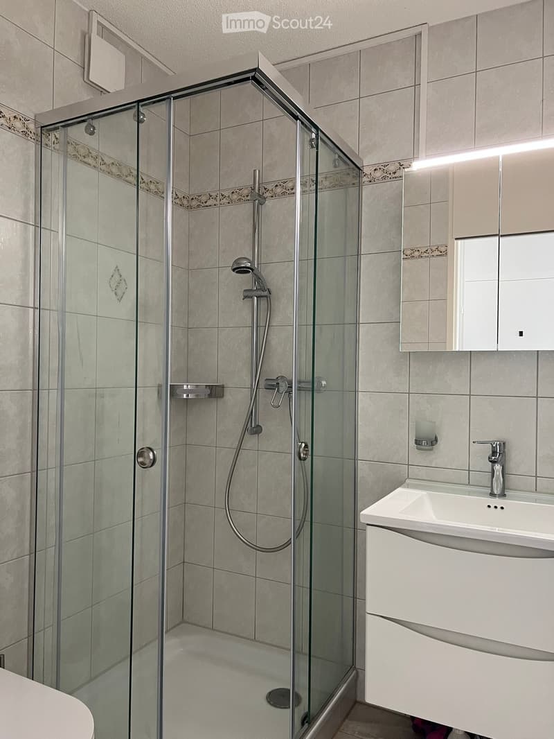 Modern bathroom with a glass-enclosed shower, a white sink with a cabinet, and a mirror above the sink.