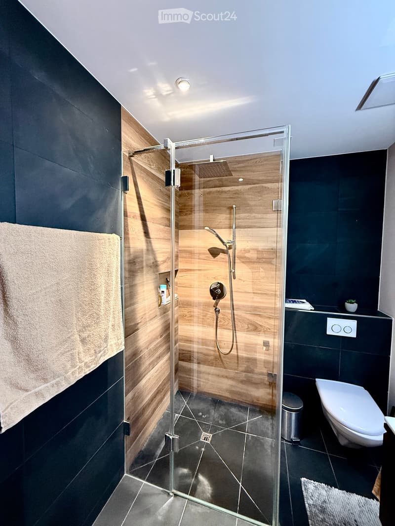 Modern bathroom with dark tiles, a glass-enclosed shower, a toilet, a towel, and a small trash can.
