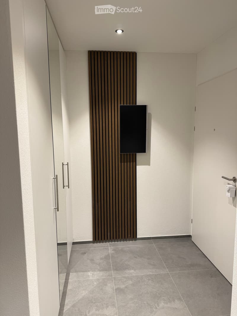 Modern bathroom with a sleek radiator, a large mirror, and a toilet paper holder on the wall.