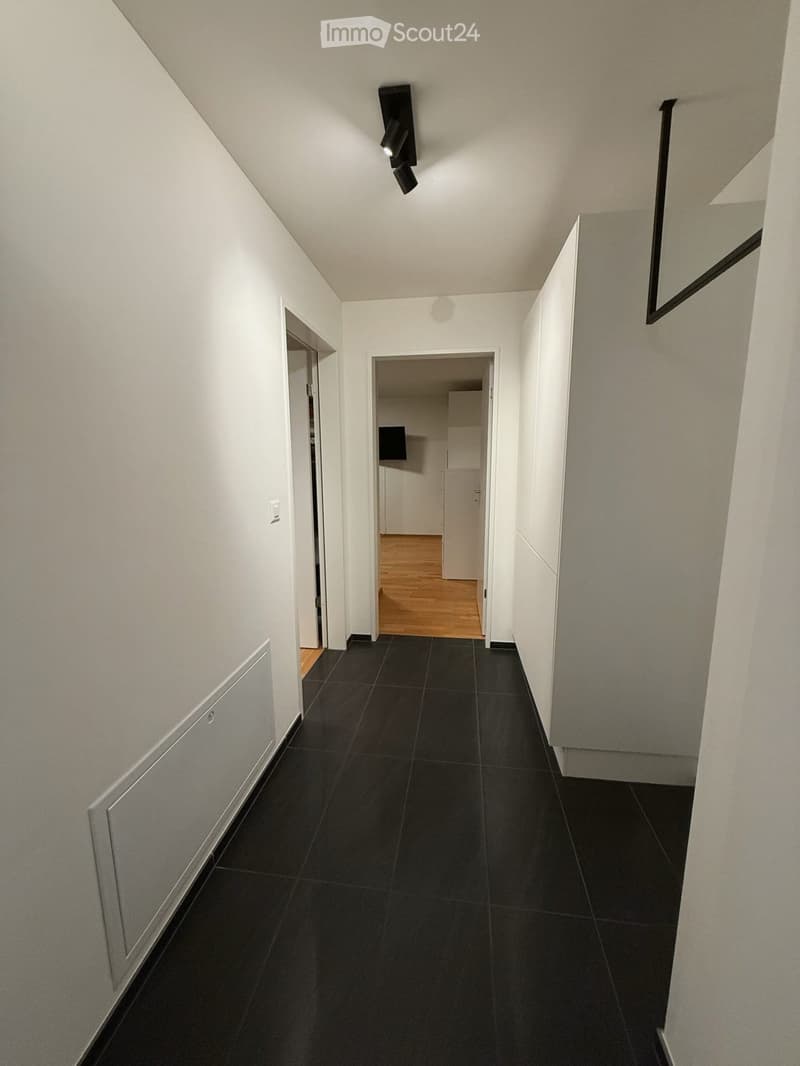 Modern hallway with black tiled floor, white walls, and recessed lighting. Two doors lead to other rooms.