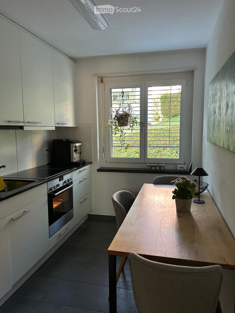 Modern kitchen with white cabinets, stainless steel appliances, a wooden dining table with chairs, and a hanging plant near the window.