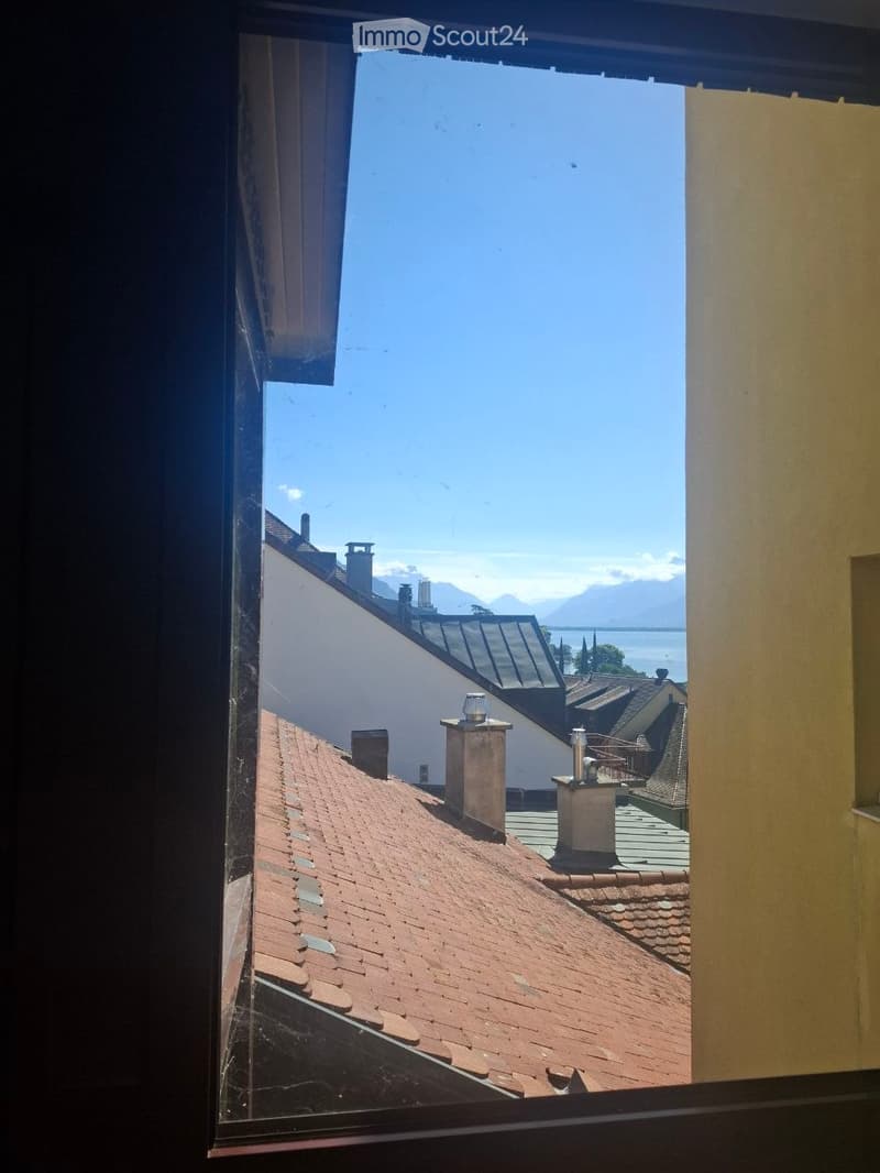 View from a window showing red-tiled rooftops, chimneys, and distant mountains and lake under a clear blue sky.