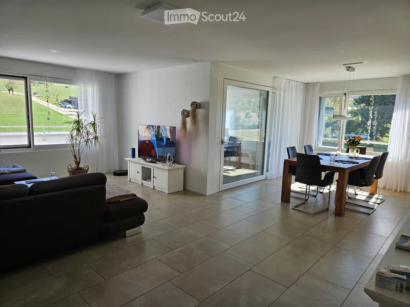 Modern living and dining area with a sofa, coffee table, TV, dining table, chairs, and a potted plant. Large windows and sliding glass doors lead to a balcony.