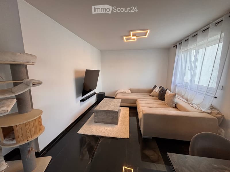 Modern living room with a sectional sofa, coffee table, cat tree, TV, and a sleek, contemporary design.
