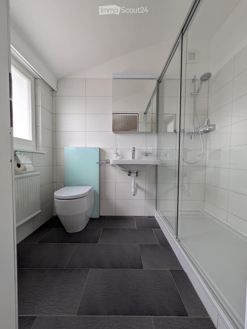 Modern bathroom with dark tiled floor, white toilet, sink, mirror, and glass-enclosed shower area.