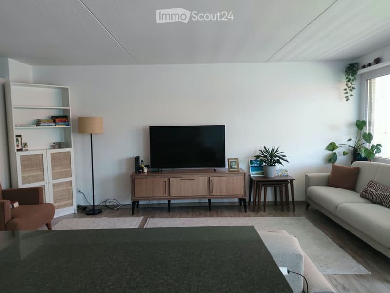Modern living room with a large flat-screen TV on a wooden stand, a beige sofa with throw pillows, a dark coffee table, a floor lamp, a bookshelf, and a side table with a plant.