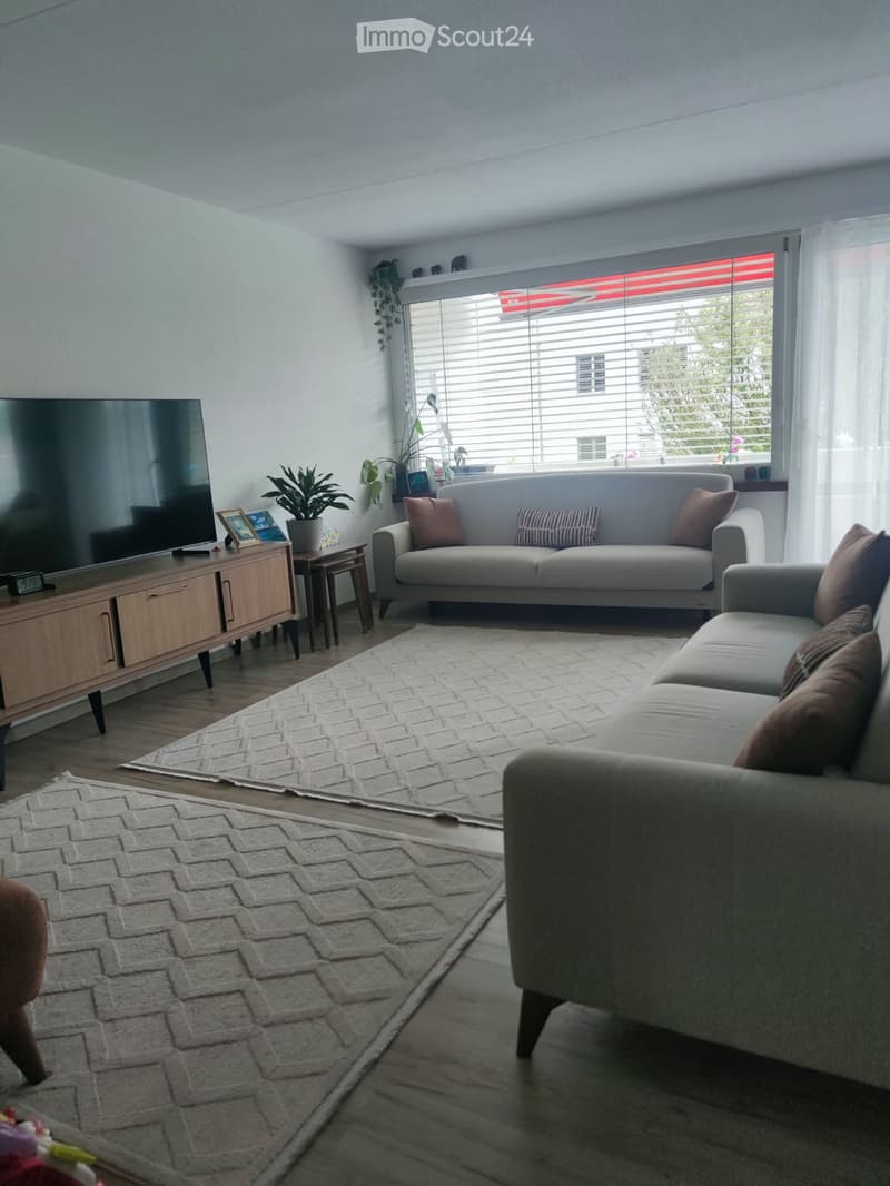 Modern living room with two sofas, a coffee table, a television, side tables, and plants. The room features large windows with blinds and a view of greenery outside.