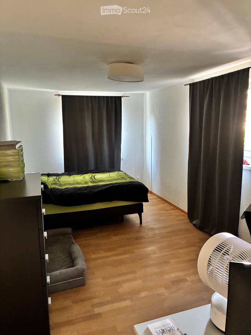A modern bedroom with wooden flooring, a bed with green and black bedding, a fan on a table, a dog bed, and a curtained window.