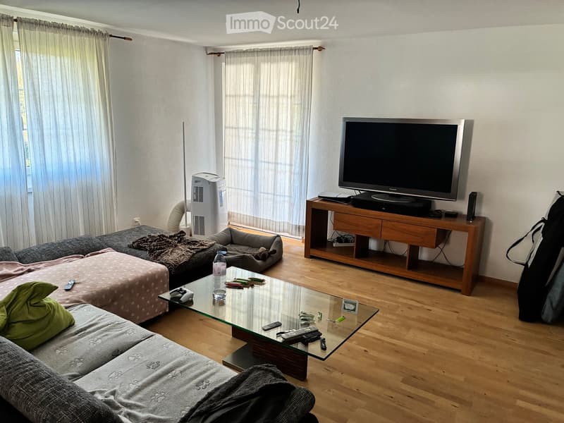 Living room with a grey sofa, glass coffee table, TV stand, cat bed, and air conditioner. Wooden flooring and large windows with curtains.