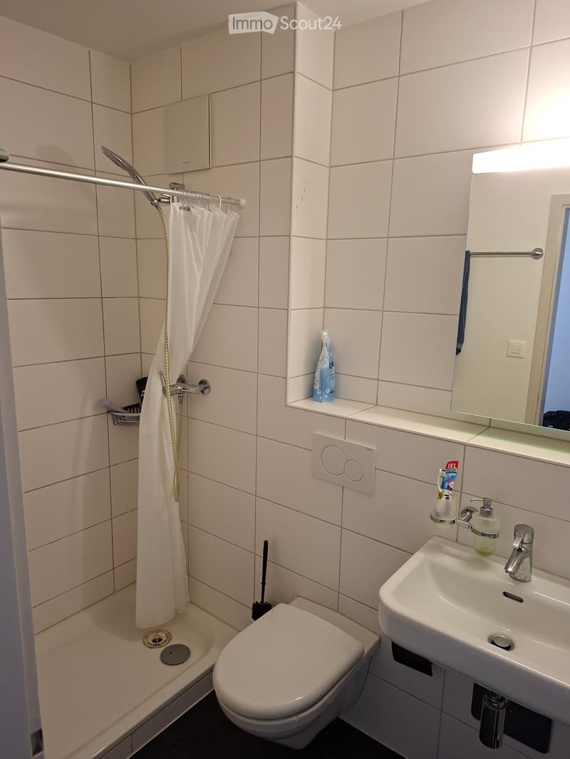 Modern bathroom with white tiles, a toilet, a sink with a mirror, a shower area with a curtain, and a small shelf holding toiletries.