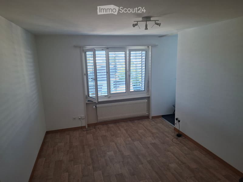 Empty room with wooden flooring, white walls, large window with blinds, radiator, and ceiling light fixture.