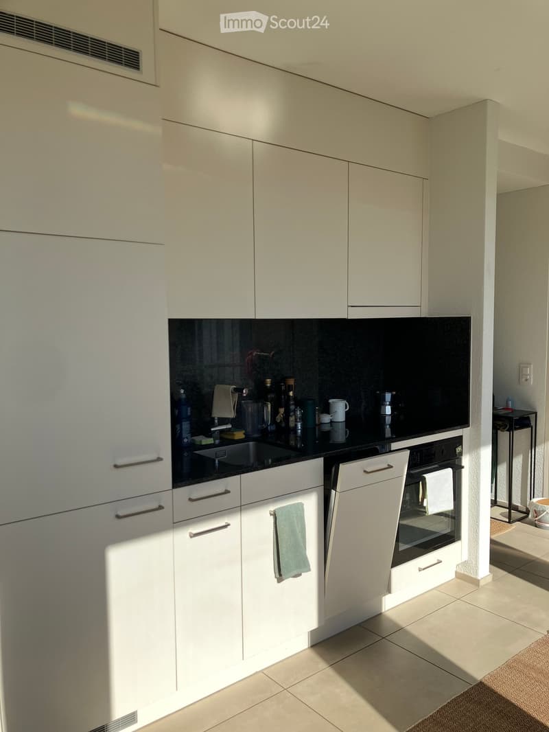 Modern kitchen with white cabinets, black countertop, and stainless steel oven. A green towel hangs from a cabinet handle.