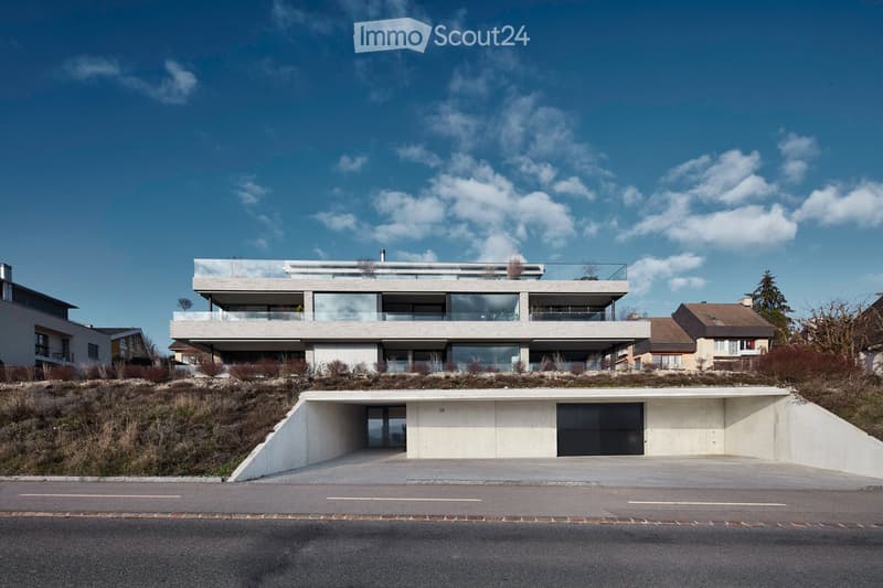 Modern architecture with a raised ground floor, glass balconies, concrete driveway