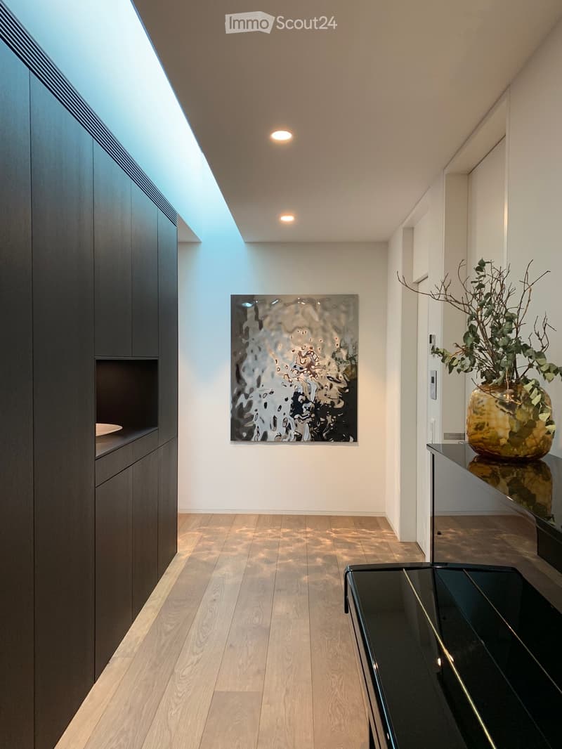 dark wooden cabinets, wood floors, glass modern art piece, black piano, plant on counter