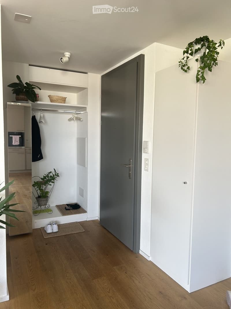 Modern hallway with wooden flooring, white walls, built-in closet with shelves, coat rack, and small potted plants. A grey door leads to another room.