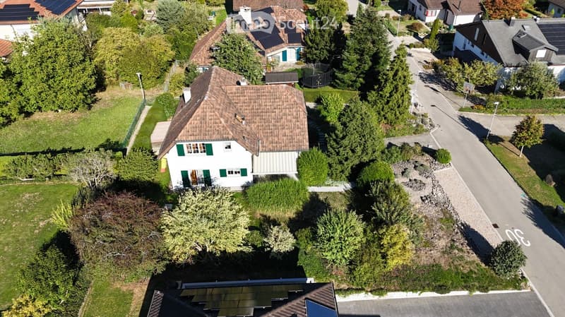 Aerial view of a residential neighborhood with multiple houses, green lawns, trees, and a paved road.