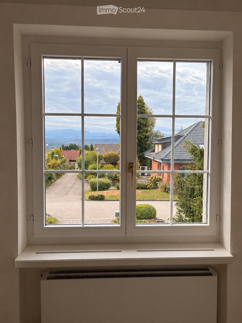 View from a window showing a suburban neighborhood with houses, trees, and a clear sky. The window has white frames and a radiator below.