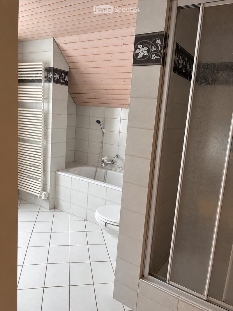 Bathroom with white tiled walls and floor, a bathtub with a handheld shower, a toilet, a radiator, and a glass shower enclosure.