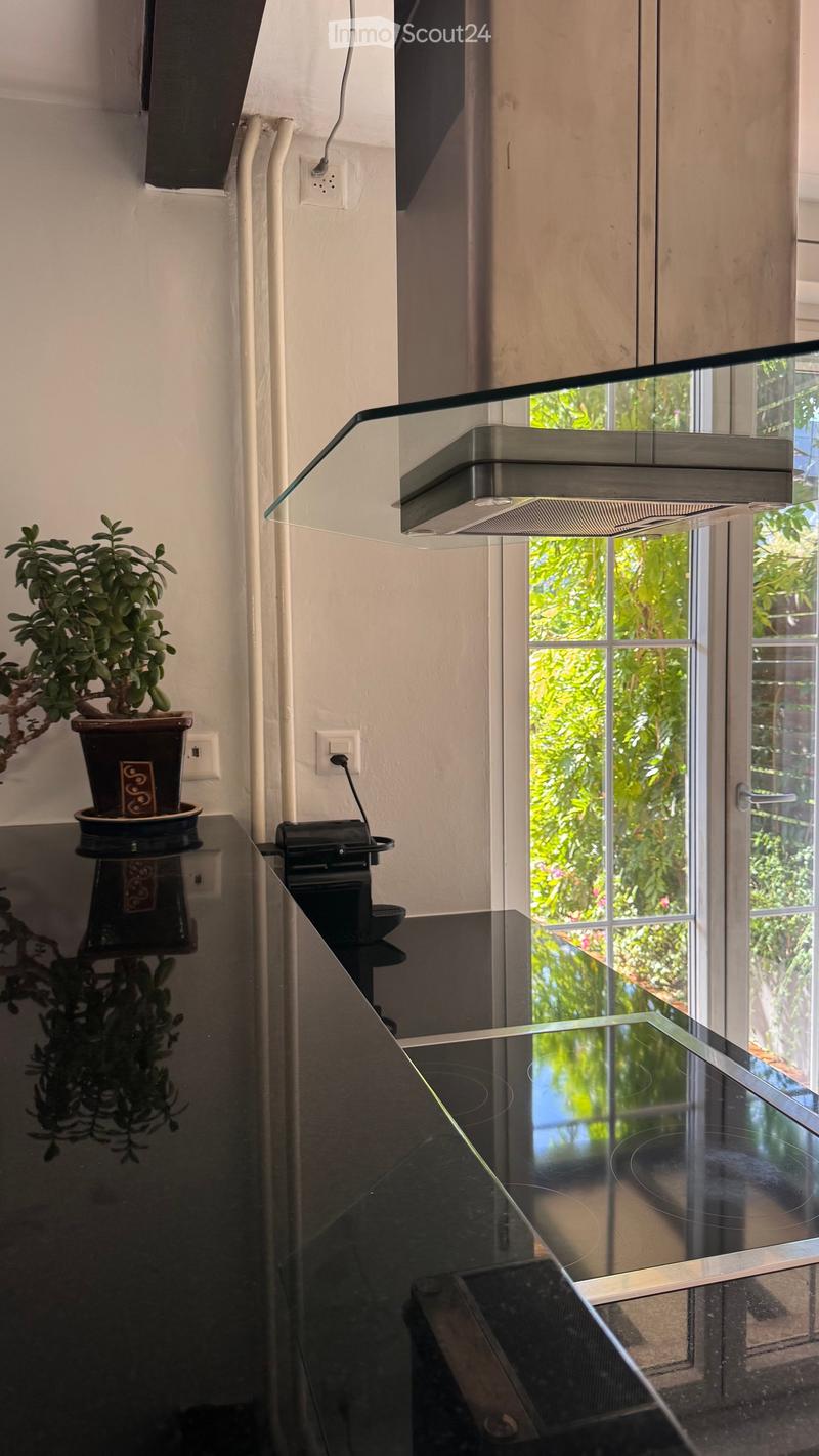 Modern kitchen with a sleek black induction cooktop, a glass range hood, and a potted plant on the counter. Large windows provide natural light and a view of greenery outside.