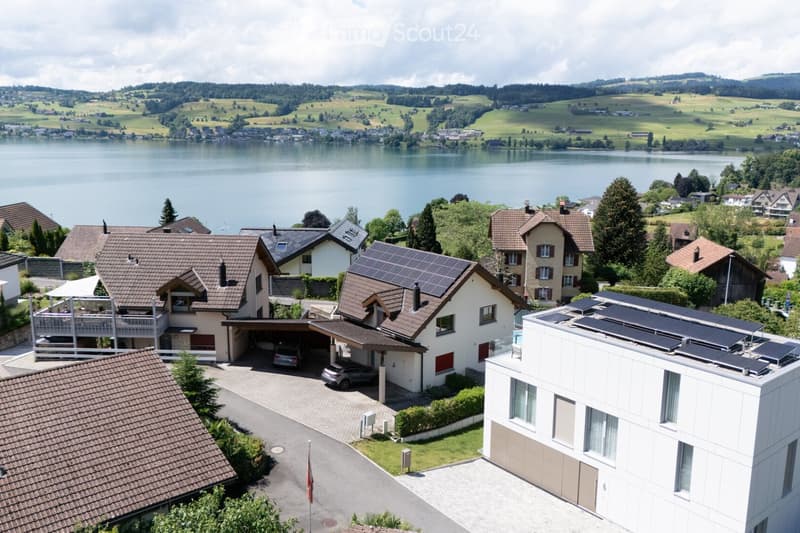 Aerial view of a residential area with multiple houses, solar panels, a lake, and surrounding greenery.