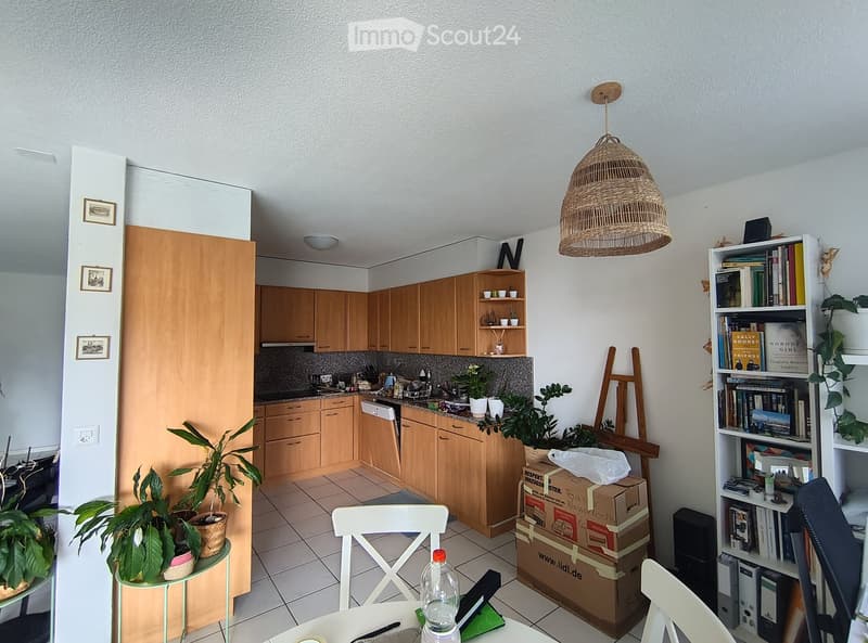 A modern kitchen with wooden cabinets, a white dining table with chairs, a wicker pendant light, a bookshelf, and several potted plants. There are also some boxes stacked near the counter.