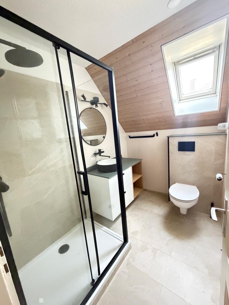 Modern bathroom with a glass-enclosed shower, toilet, sink, and mirror. Features wooden ceiling and tiled walls.