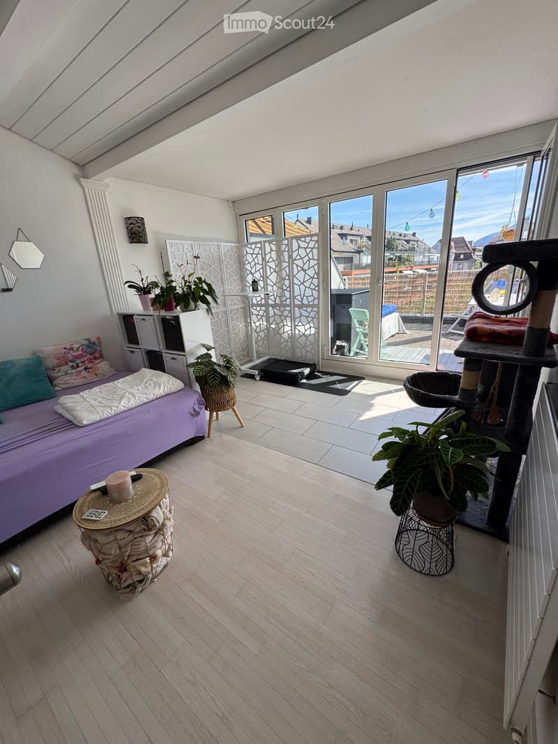 Bright, modern room with wooden flooring, large windows, and a view of the neighborhood. Features a purple sofa, a small round table, a cat tree, and several potted plants.