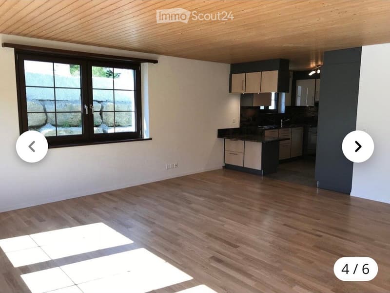 Schöne, sonnige 1.5-Zimmer-Wohnung mit Gartensitzplatz – ab sofort (4)
