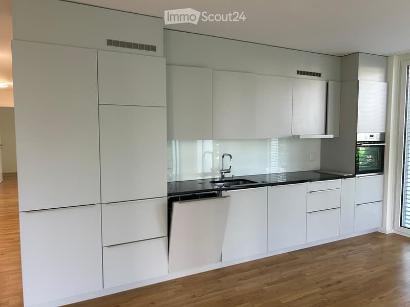 Modern kitchen with white cabinets, black countertops, and wooden flooring. Features a sink, faucet, oven, and dishwasher.