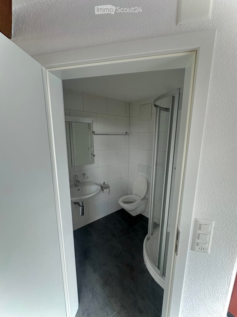 Modern bathroom with white tiles, a sink, toilet, mirror, and a glass-enclosed shower. The room has a dark grey floor and white walls.
