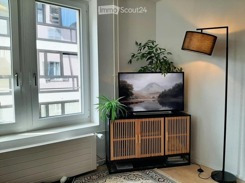 Modern living room with large windows, television on a wooden stand, floor lamp, and decorative plants.