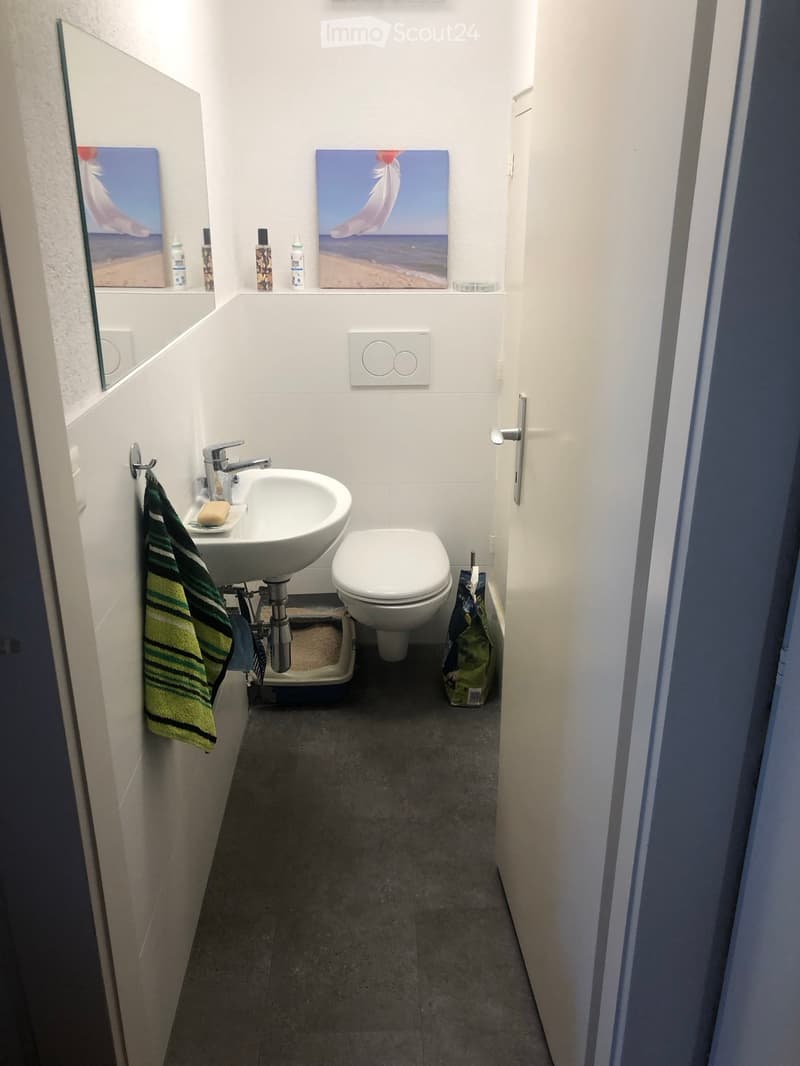 Compact bathroom with a white sink, toilet, mirror, and a towel hanging on the wall. The sink has a modern faucet and a soap dish, and there are two paintings above the sink.
