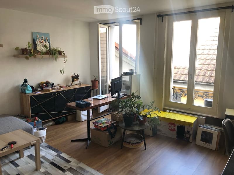 A well-lit room with wooden flooring, a large window with a view, a desk with a computer, a cabinet, a small table with plants, and a cat tree.