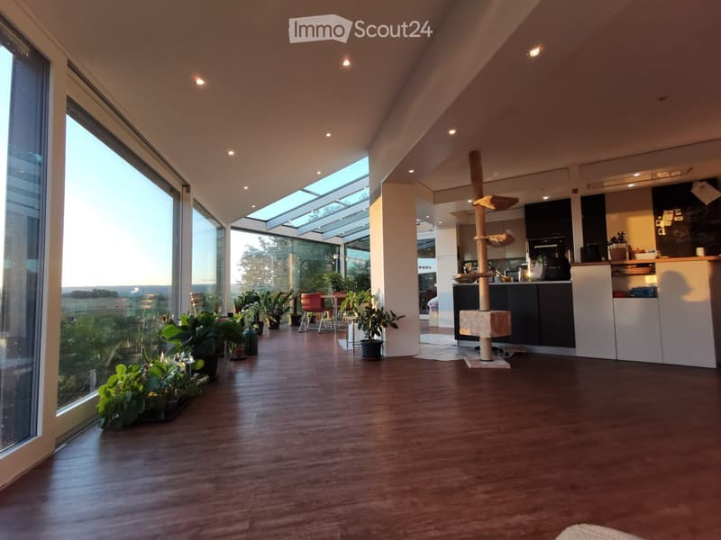 Open-plan living and dining area with wooden flooring, large windows, and a skylight. Includes a cat tree, kitchen area with cabinets and counter, and several potted plants.