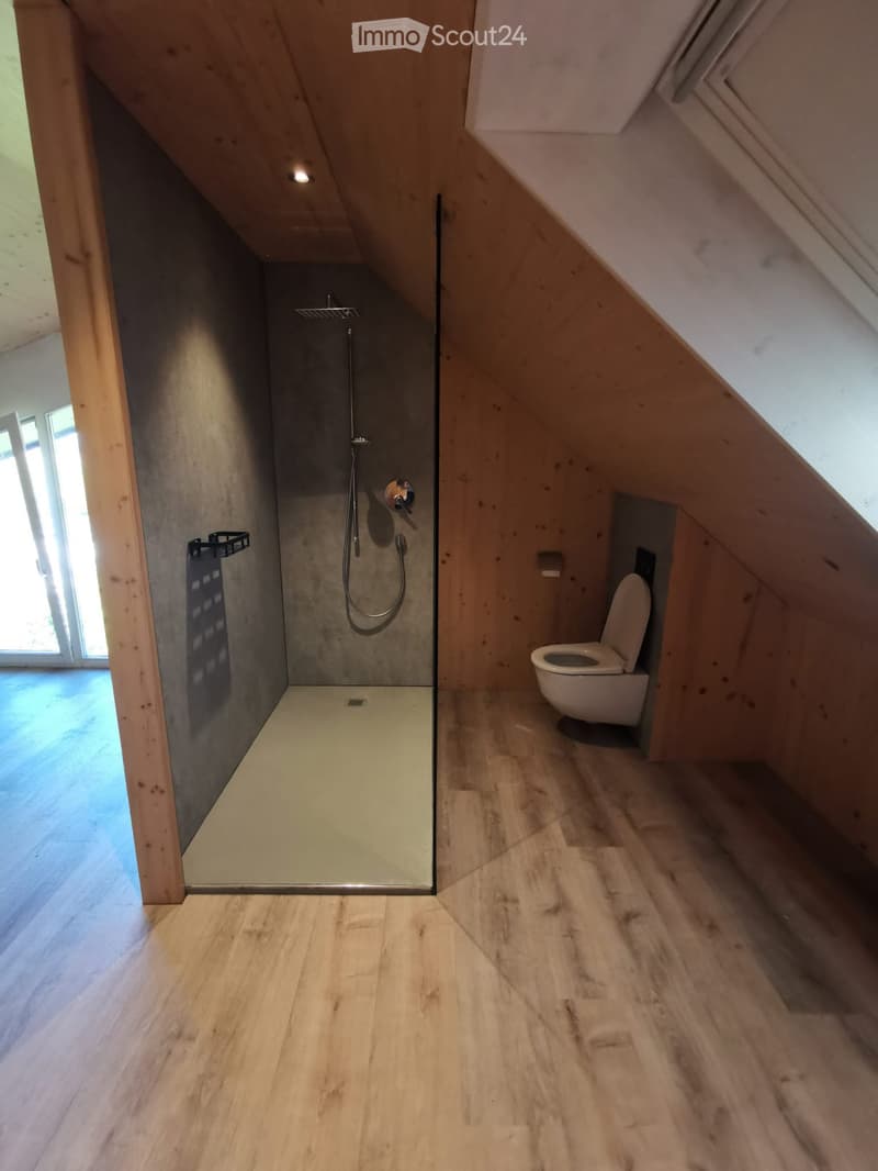 Modern bathroom with wooden flooring, a glass-enclosed shower, and a toilet. The shower features a handheld sprayer and a built-in shelf. The room has exposed wooden beams on the ceiling and large windows allowing natural light.
