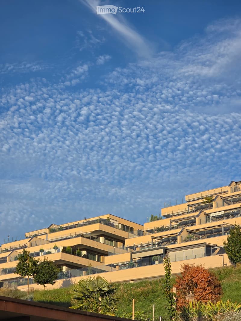 Modern multi-story residential building with beige facades, balconies, and rooftop terraces, surrounded by greenery and trees.