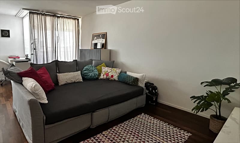A modern living room with a grey sectional sofa adorned with colorful pillows, a potted plant, a small table, and a chair near the window with curtains.