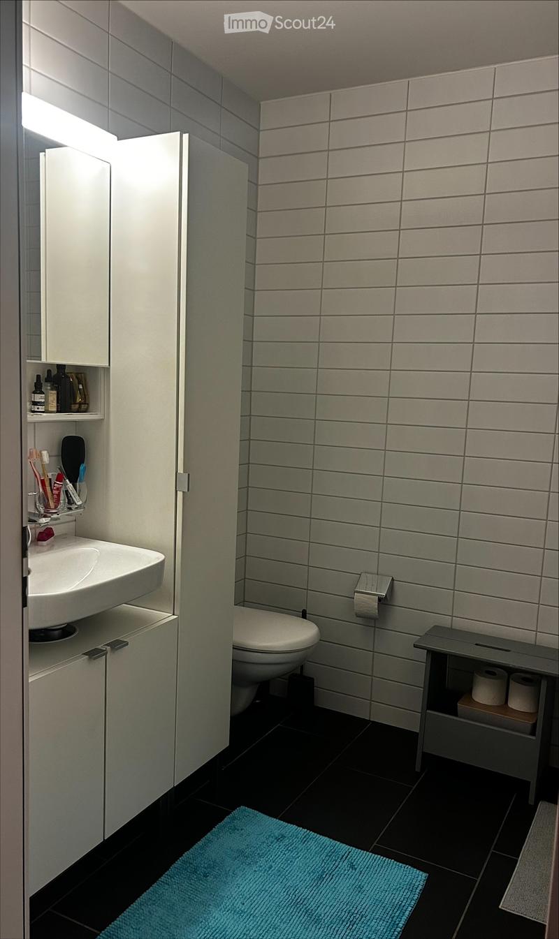 Modern bathroom with white tiles, a sink with a cabinet, a toilet, and a small shelf holding toilet paper and a bath mat on the floor.