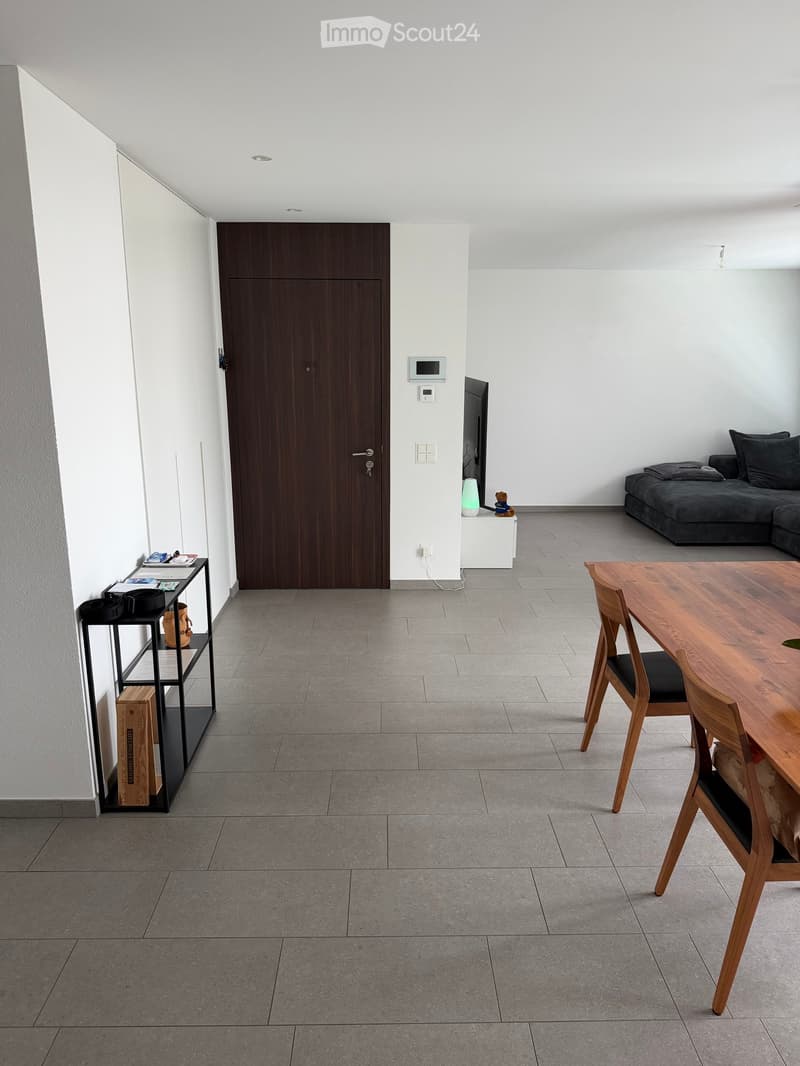Modern open-plan living and dining area with grey sofa, wooden dining table, chairs, shelf, lamp, and screen.