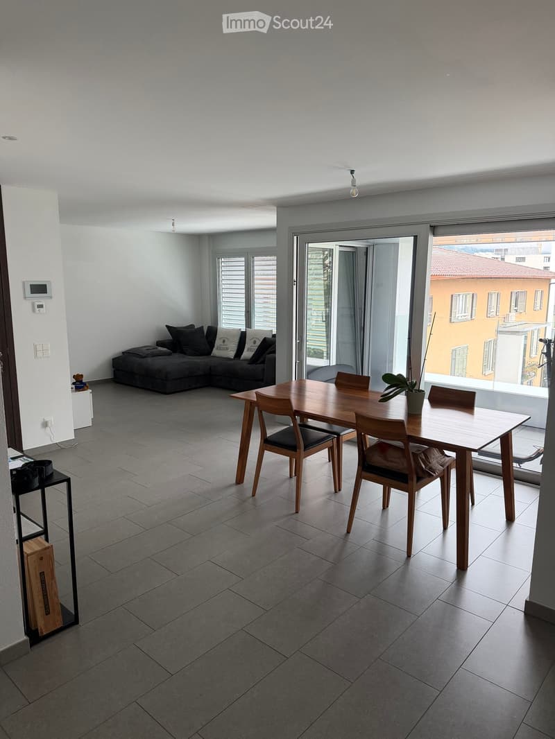 Modern living and dining area with grey sofa, wooden dining table, chairs, and a potted plant near the sliding glass doors.