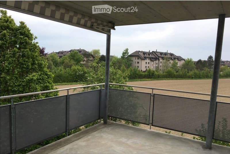 Balcony with metal railing, concrete floor, and a view of a rural landscape with trees and buildings in the distance.