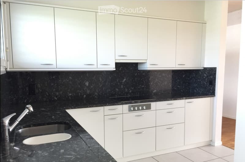 Modern kitchen with white cabinets, black granite countertops, and a stainless steel sink.