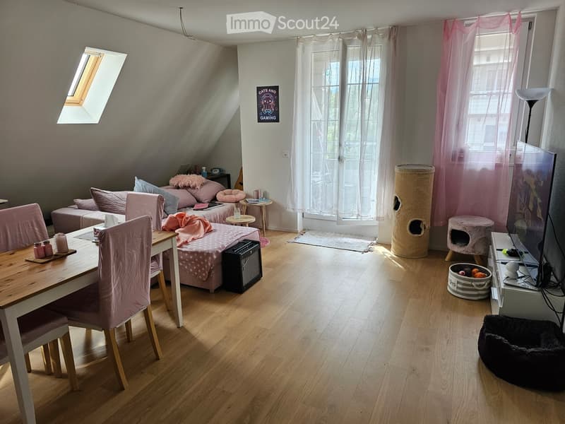 A cozy, well-lit room with a bed, sofa, dining table, chairs, cat furniture, and a TV screen. The room features wooden flooring, large windows with sheer curtains, and a skylight.