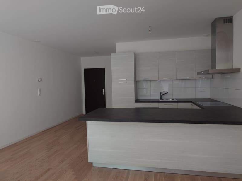 Modern kitchen with light grey cabinets, black countertop, wooden flooring, and stainless steel sink.